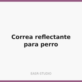 Correa reflectante 19